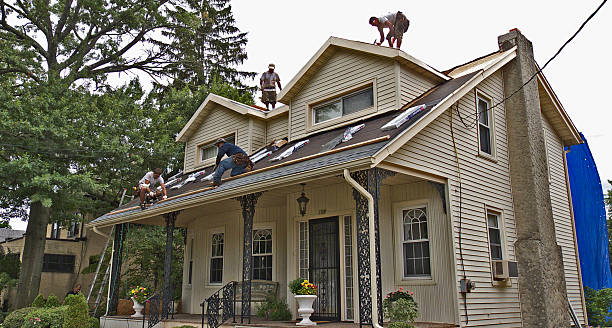 Best Roof Gutter Cleaning  in Robesonia, PA